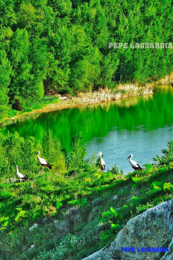 Hotel Hm Альфаро Екстер'єр фото
